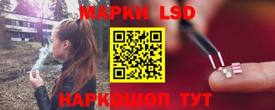 Альфа ПВП Ставрополь