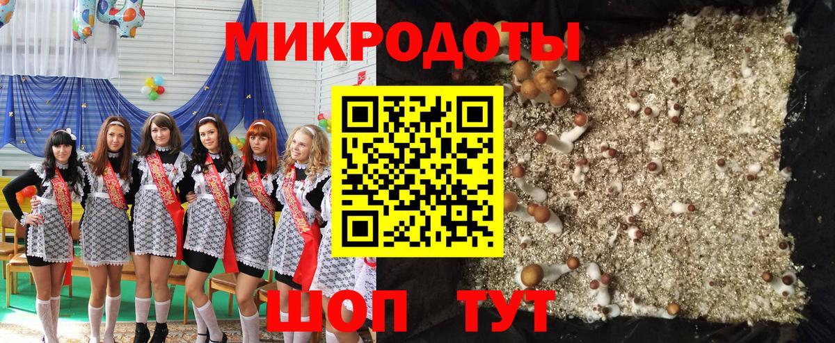 Галлюциногенные грибы GOLDEN TEACHER  Вход с VPN  Псилоцибиновые грибы ЛСД  Нижнекамск 
